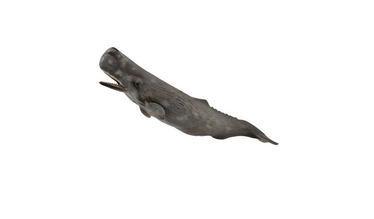 CollectA Sperm Whale - 3 Years +