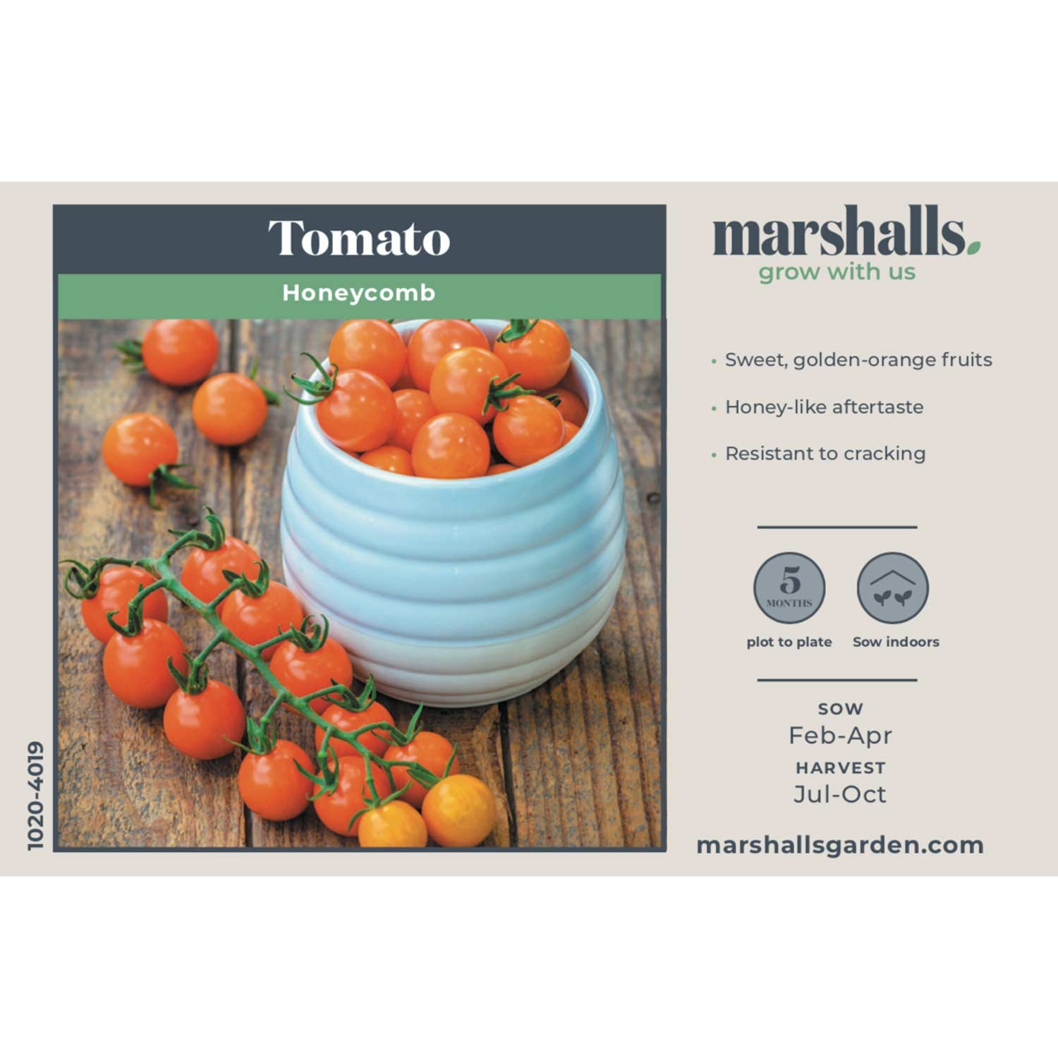 Marshalls Garden Sungold Cherry Tomato Seeds 'Honeycomb' - 15 Seeds - Image 4