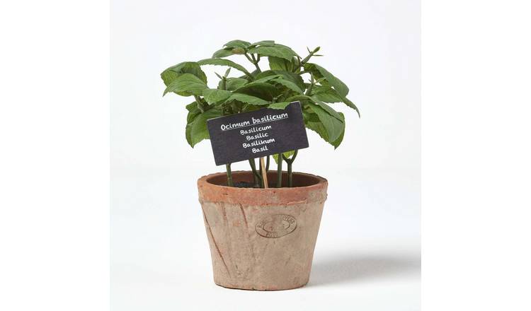 Homescapes Handcrafted Artificial Basil Plant in Aged Terracotta Pot - Orange