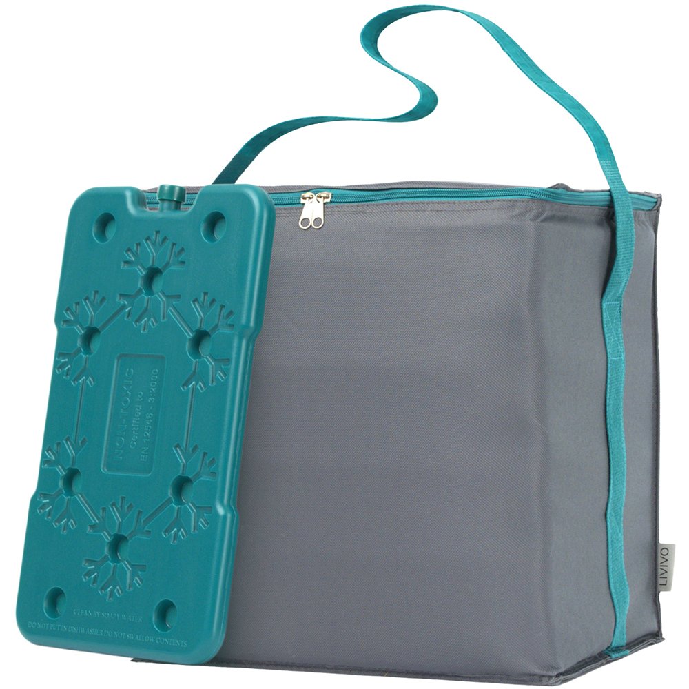 LIVIVO 28L Insulated Cooler Bag with Freezer Block - Blue - Image 1