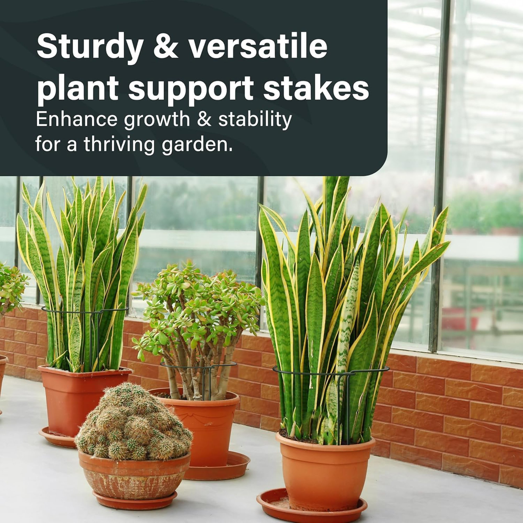 Vivo Technologies Pack of 6 Metal Plant Support Stakes - 25 x 60cm - Image 5