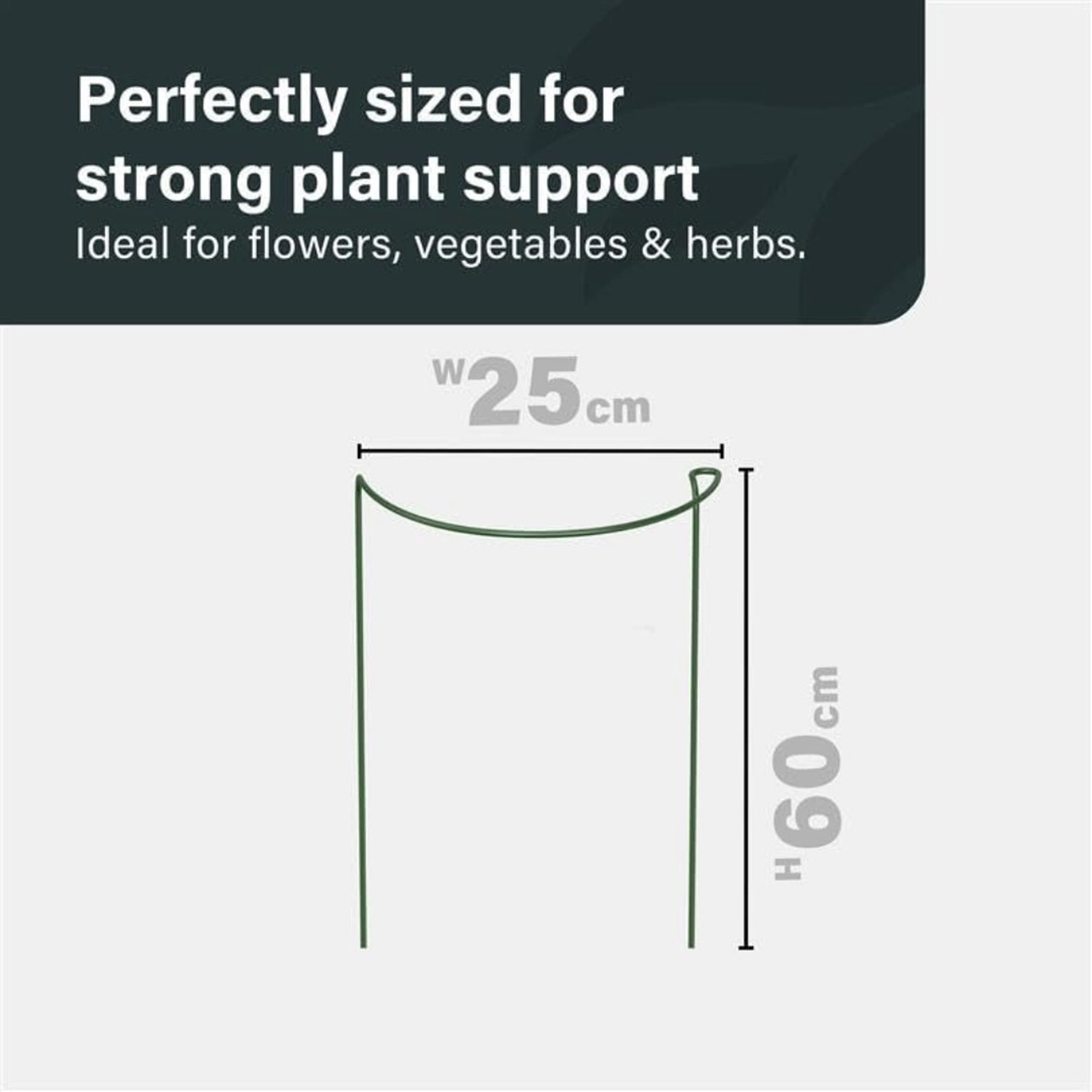 Vivo Technologies Pack of 6 Metal Plant Support Stakes - 25 x 60cm - Image 6