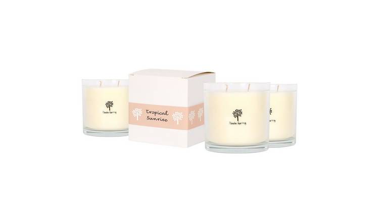 Nicola Spring 400ml Soy Wax Scented Candles Pack of 3 - Tropical Sunrise