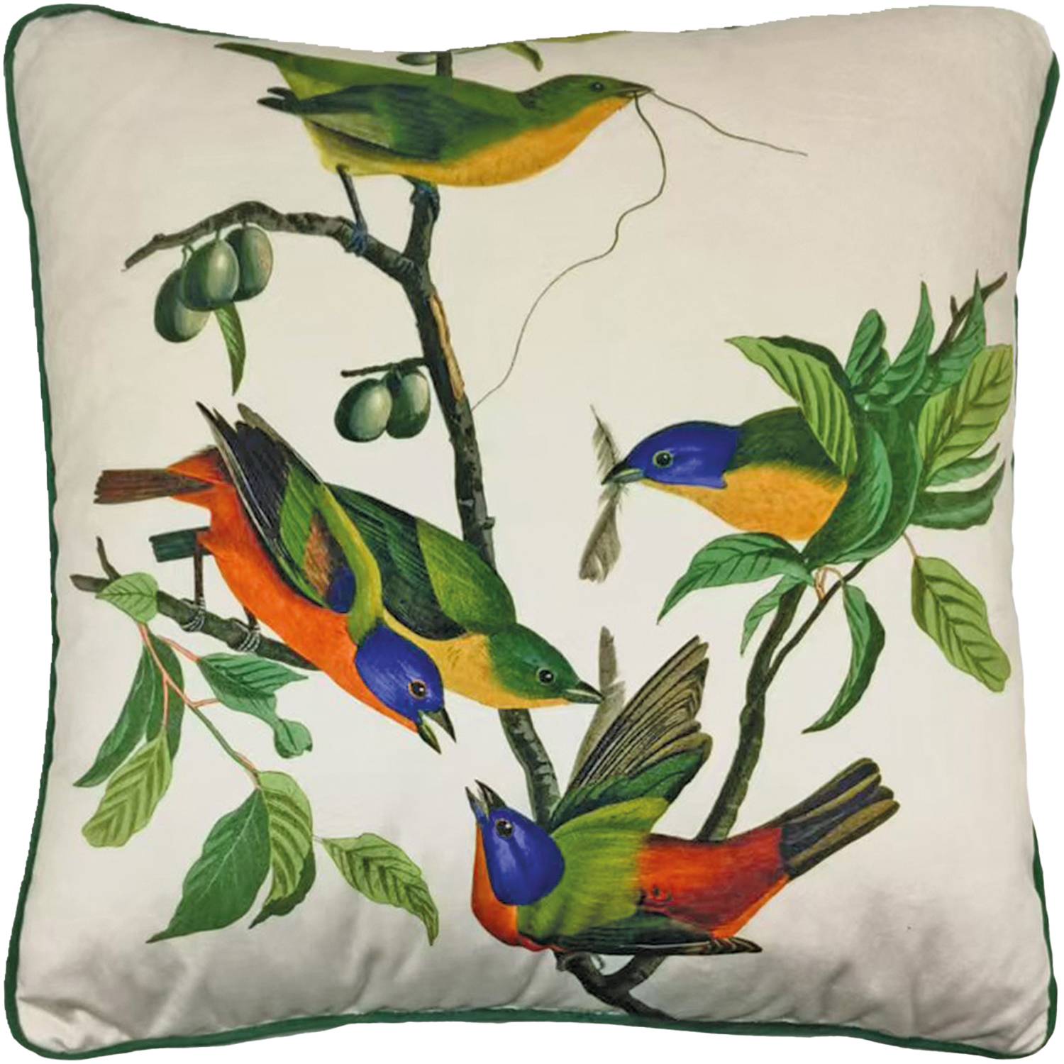 John James Audubon Painted Finch Filled Cushion - Green & White - Image 1