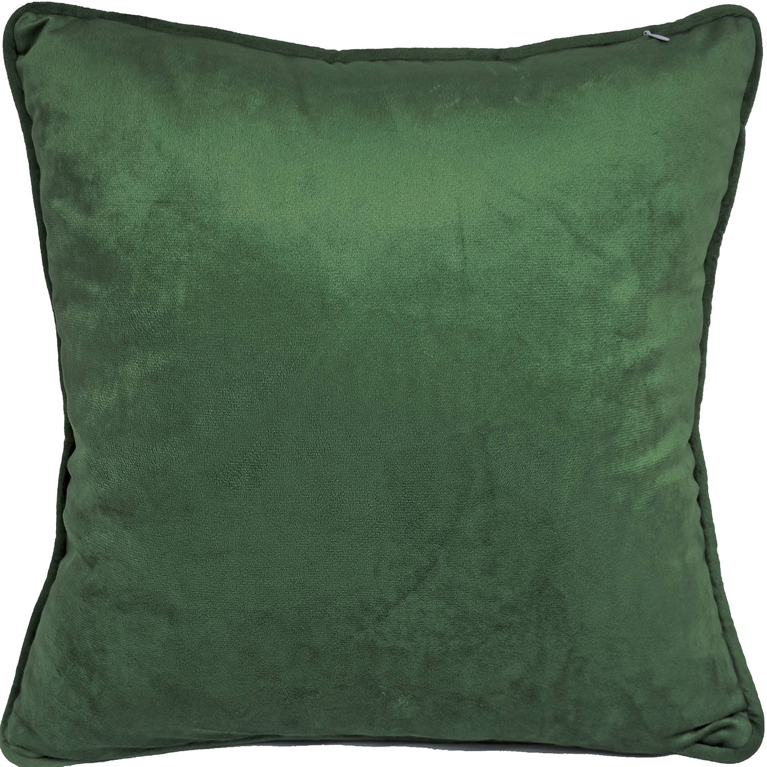 John James Audubon Painted Finch Filled Cushion - Green & White - Image 2