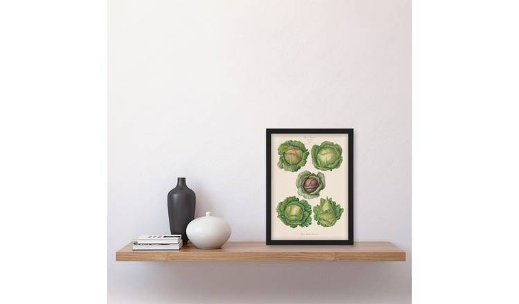 Ernst Benary Cabbage Varieties Vintage Botanical Framed Art Print - A4
