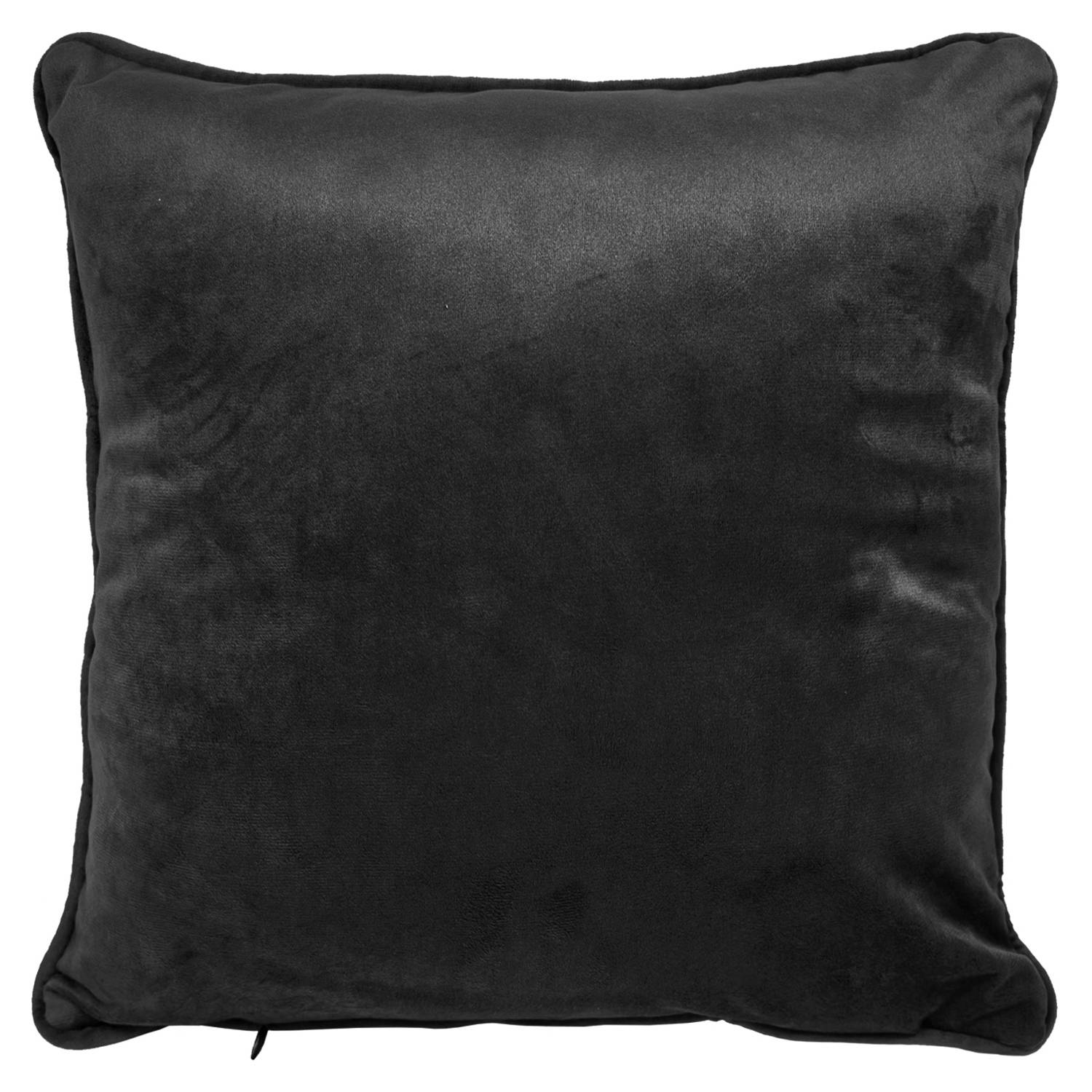 John James Audubon American White Pelican Filled Cushion - Black & White - Image 2