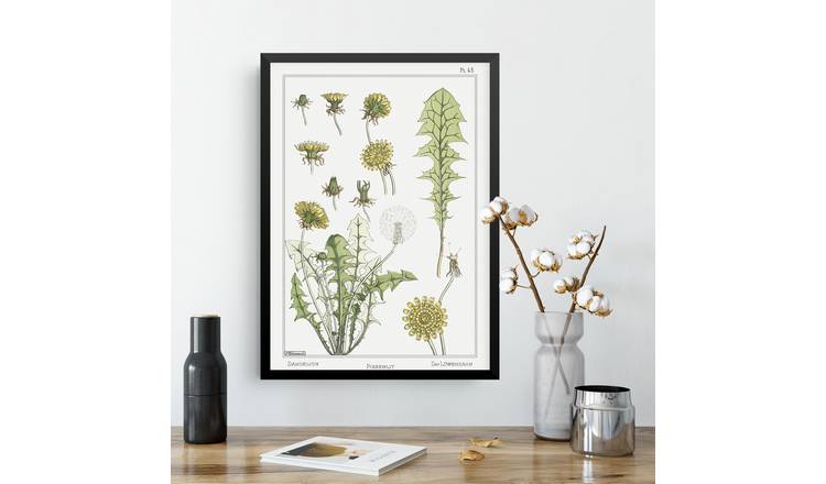 Maurice Pillard Verneuil Dandelion Flower Plant Framed Art Print - A3