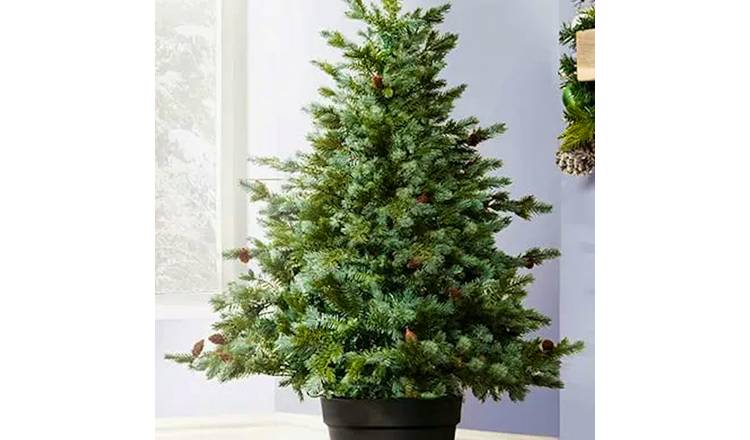 Christmas Tree World 4ft Cairngorm Pine Outdoor Potted Tree