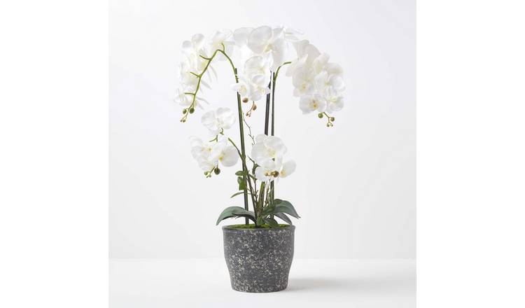 Homescapes Ceramic Artificial Orchid Phalaenopsis 4 Stems - White