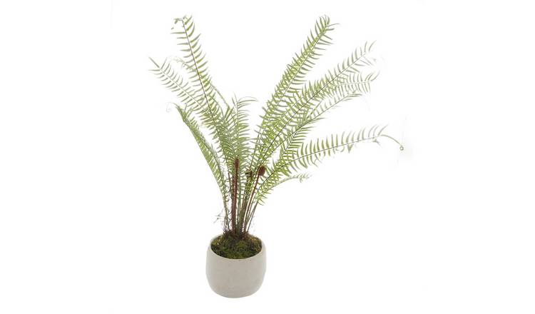Hill Interiors Boston Fern Artificial Plant - Green & White