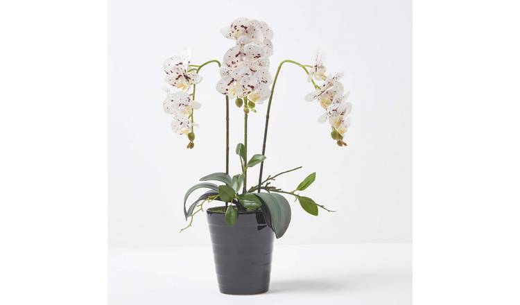 Homescapes Handcrafted Artificial Phalaenopsis Orchid in Ceramic Pot - White