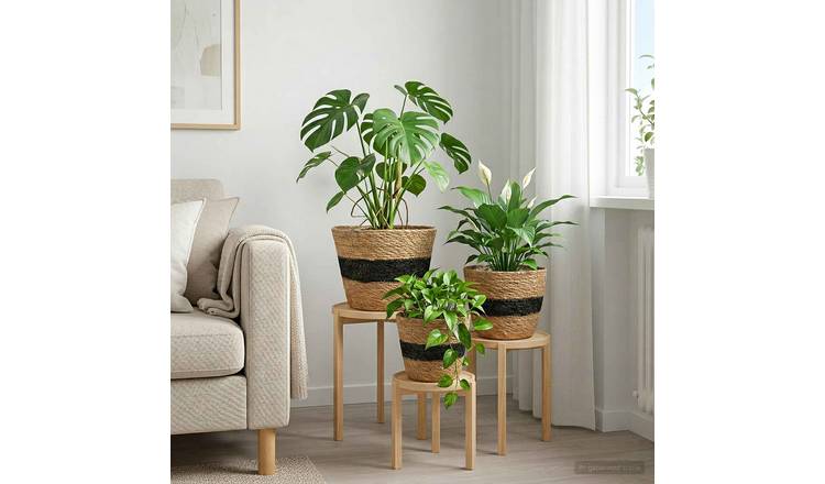 Walplus Pack of 3 Seagrass Garden Planter - Natural and Black - 26 x 19 cm