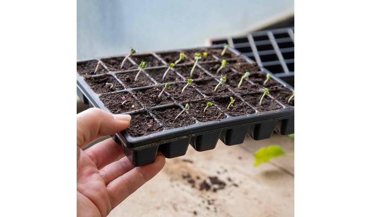 Marshalls Garden 24 Cell Seed Trays - 12 Trays