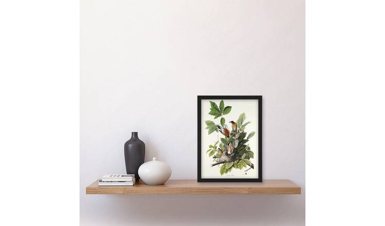 John James Audubon American Robin Birds Nest Framed Art Print - A4