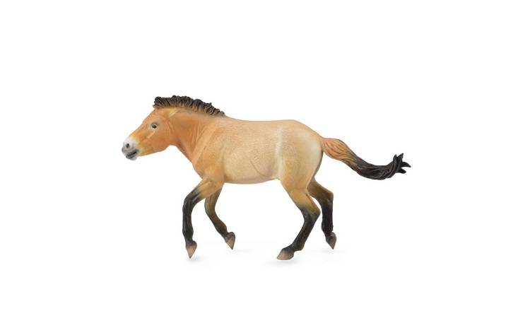 CollectA Przewalski Stallion - 3 Years +