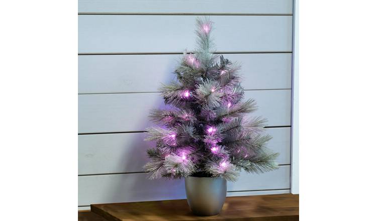 Christmas Tree World 2ft Potted Silver Majestic Pine Tree - Pink LED Lights