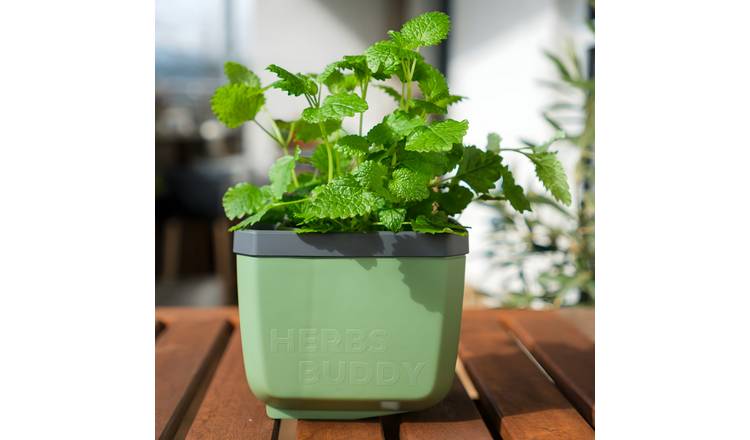 Gusta Garden Herbs Buddy Self-Watering Kitchen Herb Pot - Green 1 Piece