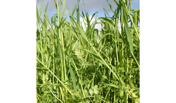 Marshalls Garden Green Manure Mix (Covers Approx. 20m²) - 200 Seeds