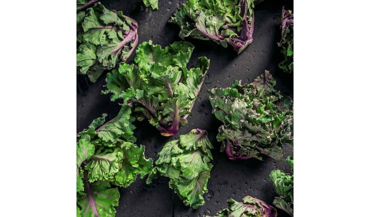 Marshalls Garden Flower Sprout F1 Hybrid Brussels Sprout Seeds - 30 Seeds