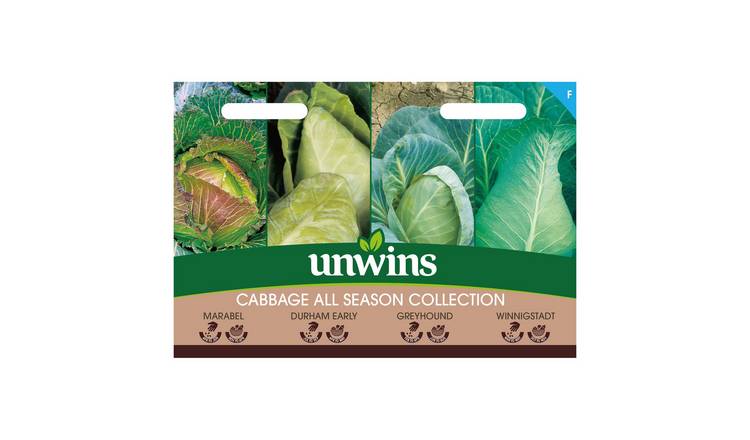 Marshalls Garden Cabbage Seeds 'All Season' Collection - 4 Packets