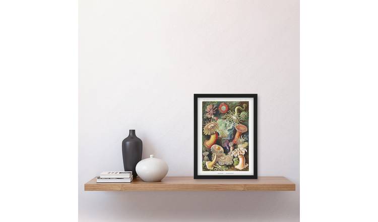 Ernst Haeckel Sea Anemone Marine Landscape Framed Art Print - A4