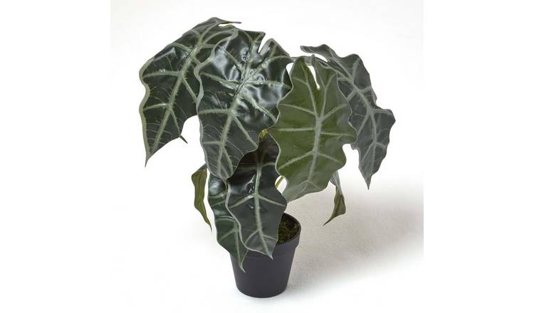 Homescapes Handcrafted Artificial Amazonica Elephant Ear Plant in Pot - Green