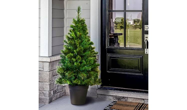 Christmas Tree World 4ft Majestic Dew Pine Outdoor Potted Tree