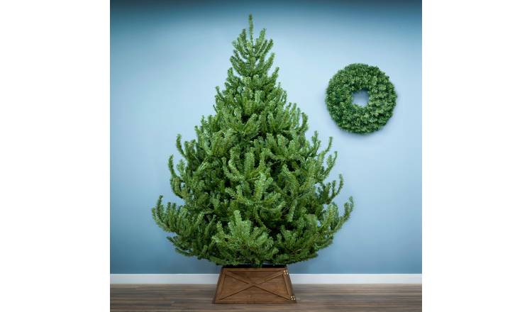 Christmas Tree World 5ft Mountain Pine Christmas Tree
