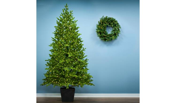 Christmas Tree World 8ft Ultra-Lit Potted Montecito Spruce Christmas Tree