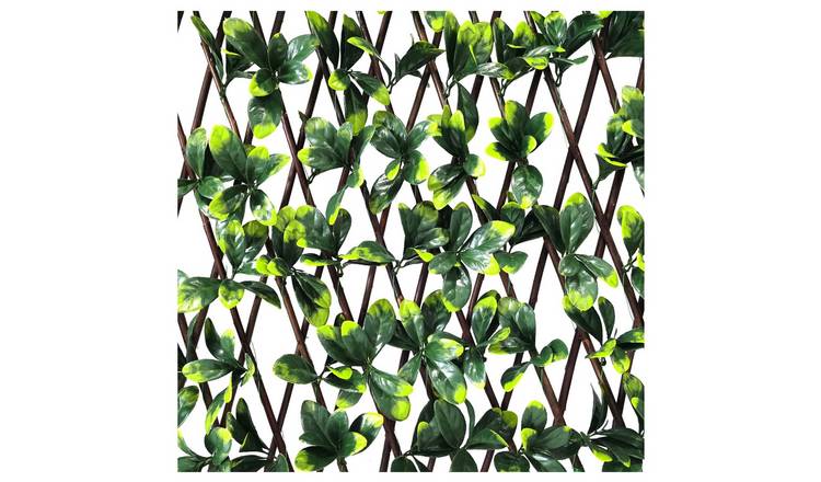 Ark Mat Expanding Wooden Trellis Privacy Screen - 200cm x 100cm - Bayberry