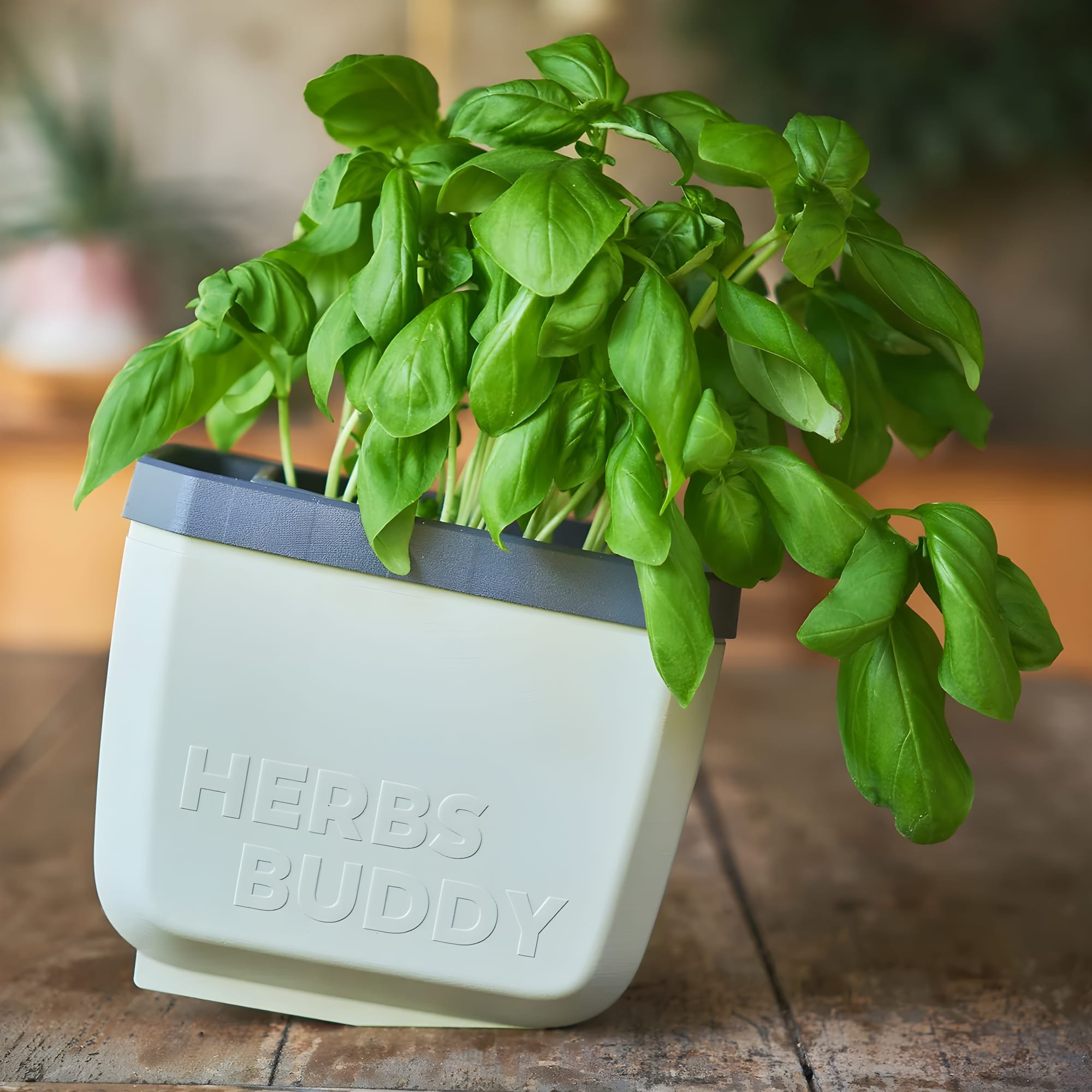 Gusta Garden Herbs Buddy Self-Watering Kitchen Herb Pot - Grey 6 Pieces