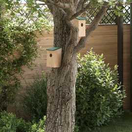 Walplus Pack of 10 Wood Bird Houses Solid Firwood - 12 x 12 x 22 cm
