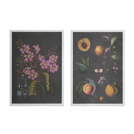 Habitat Curios Fruits Unframed Wall Print - Twin Set - A3 