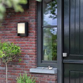 Philips Arbour LED Outdoor Wall Light