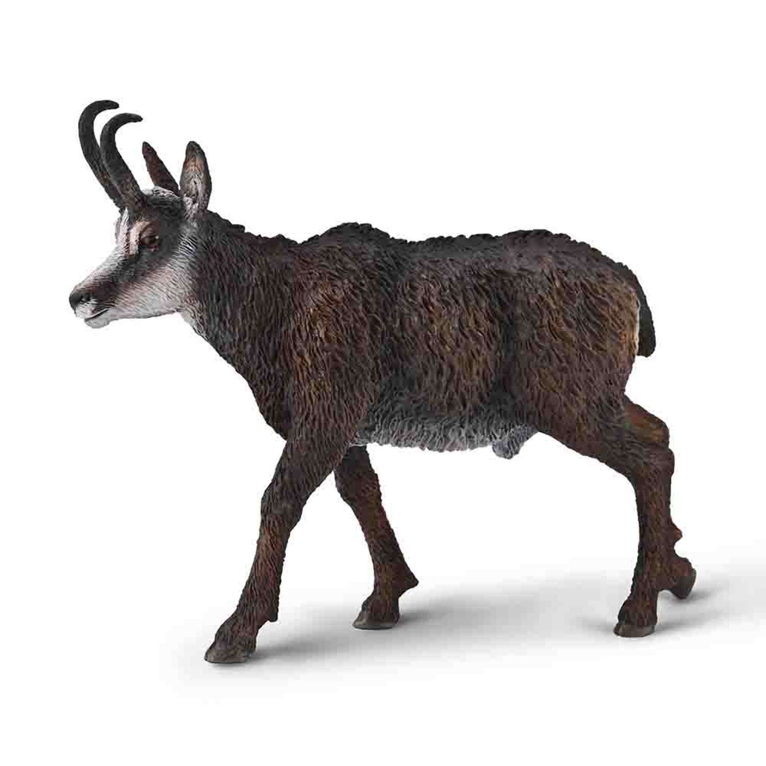 CollectA Chamois - 3 Years +