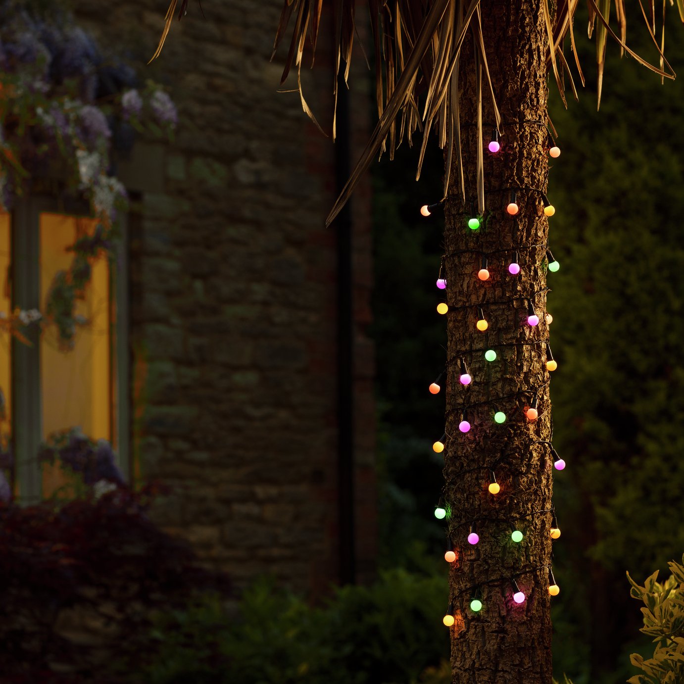Garden by Sainsbury's 50 Berry Solar String Lights 