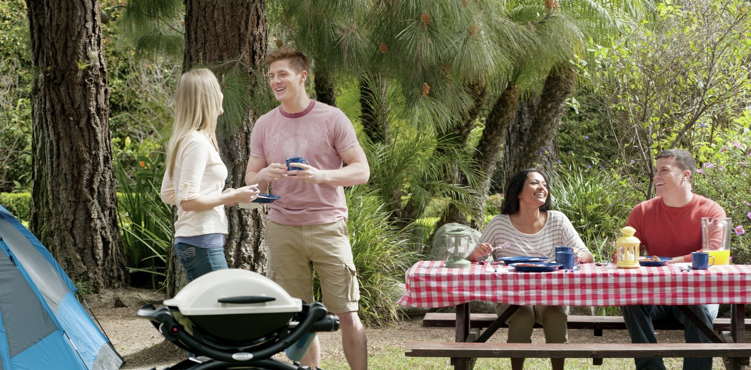 Weber Portable 1 Burner Gas BBQ