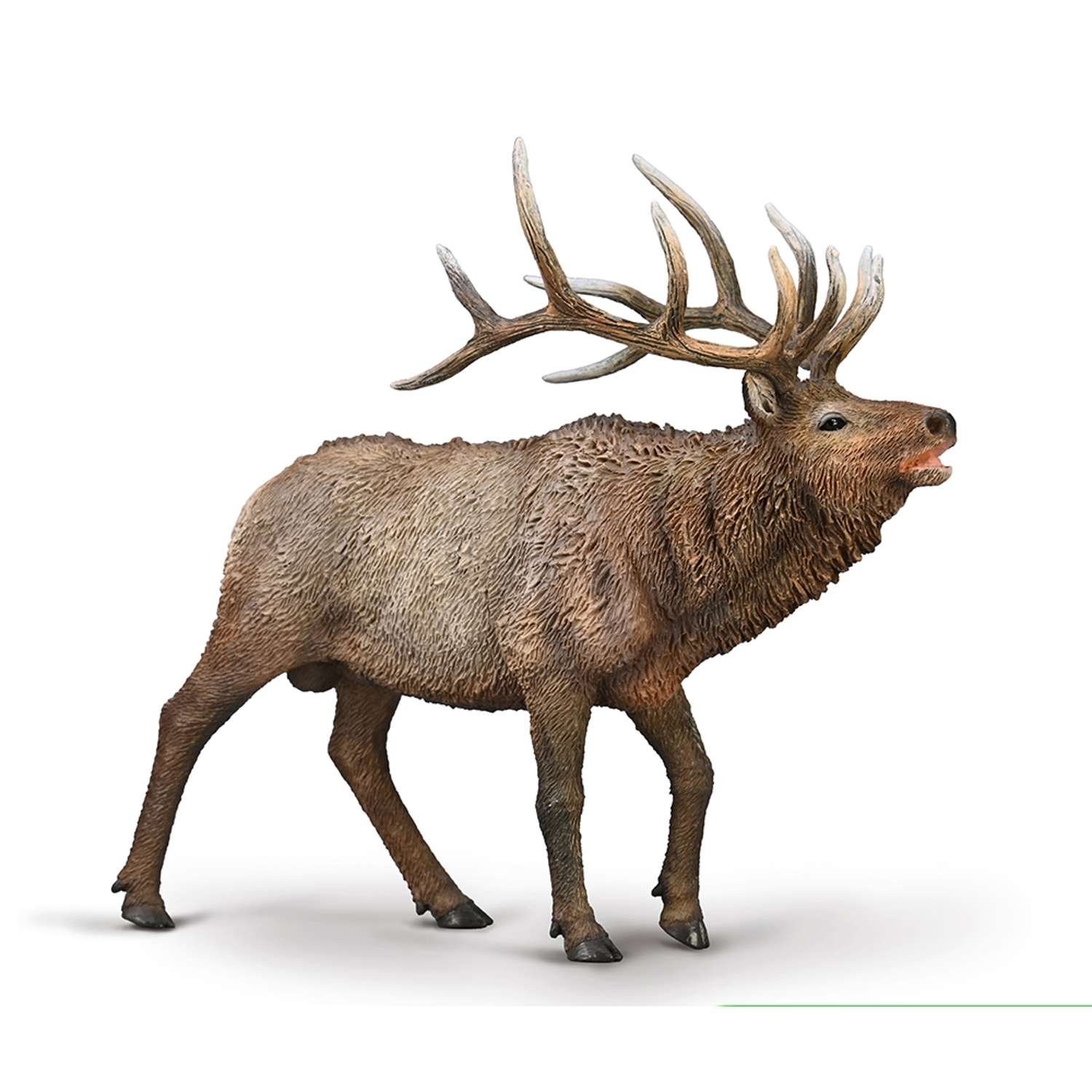 CollectA Wapiti - 3 Years +