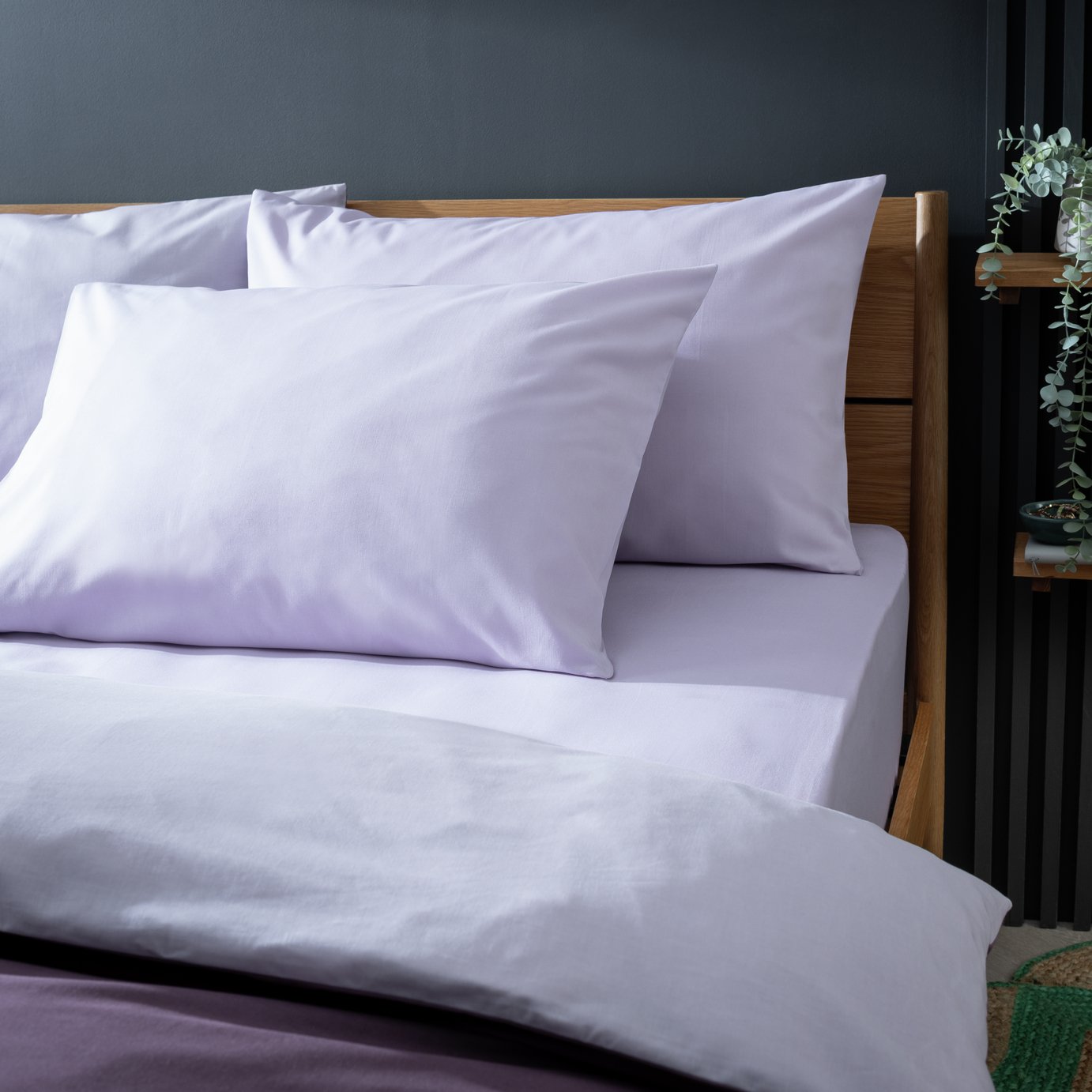 Habitat Easycare Polycotton Standard Pillowcase Pair