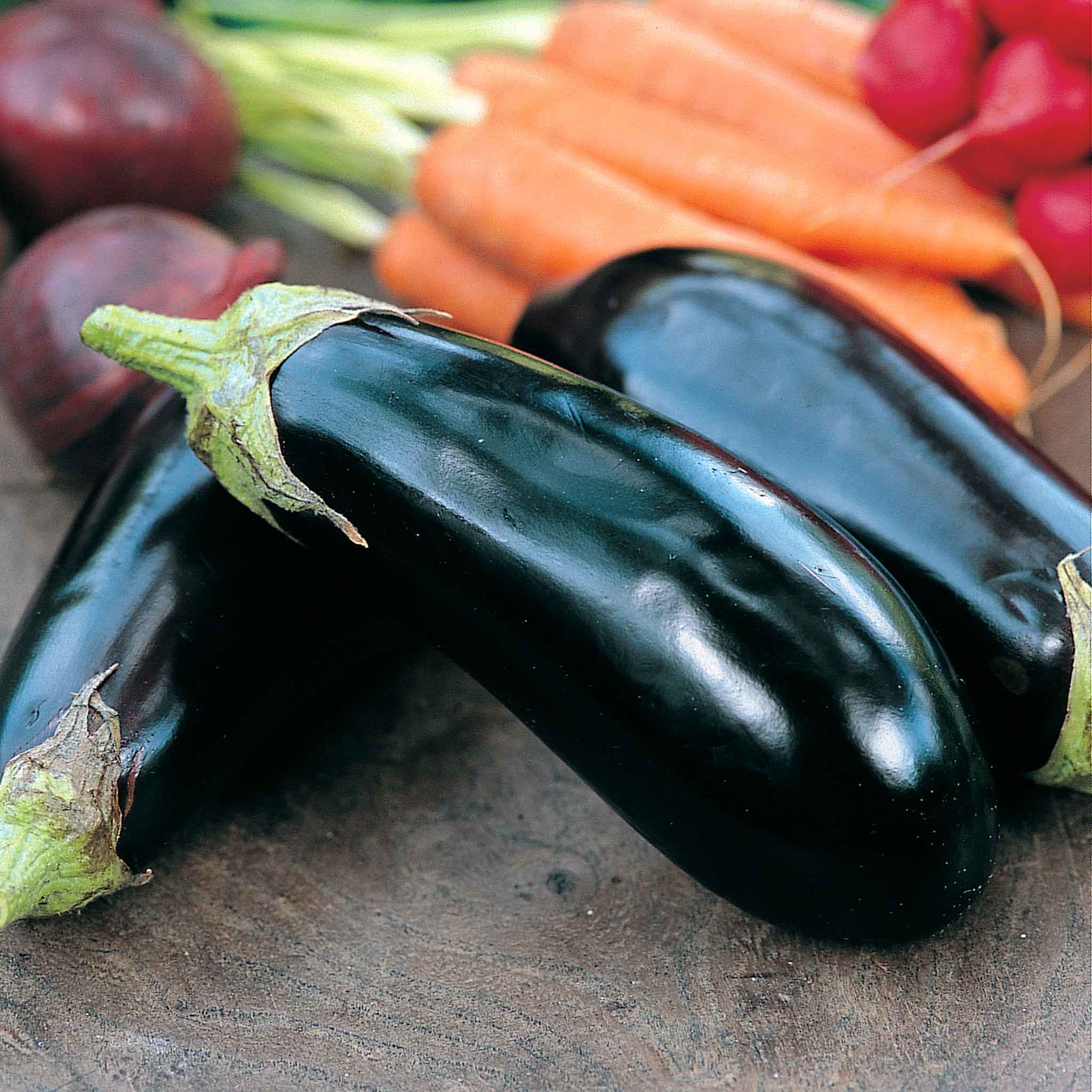 Marshalls Garden Aubergine Seeds 'Moneymaker' F1 - 20 Seeds