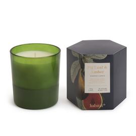 Habitat Scented Boxed Candle - Fig Leaf & Amber
