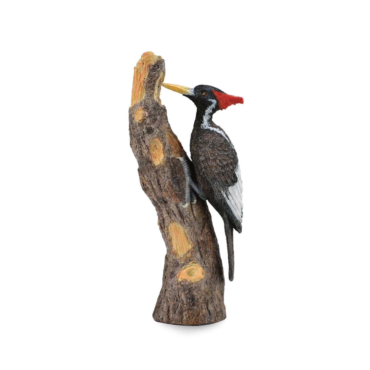 CollectA Ivory-Billed Woodpecker - 3 Years +