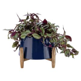 Download Results For Wooden Planters For Free Wallpaper Results For Wooden Planters For iPhone