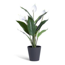 Habitat Large Artificial Peace Lily Plant - White