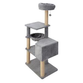 Results for cats play tunnels