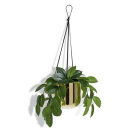 Habitat Artificial Faux Floral Trailing Ivy Hanging in Pot