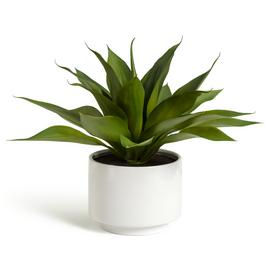 Habitat Artificial Aloe in White Pot