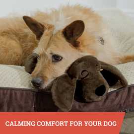 JML Golden Huggie Pup Plush Toy