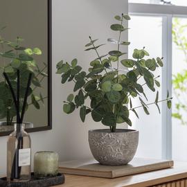 Sainsburys artificial online plants